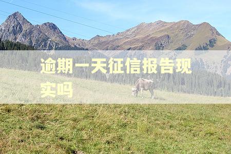 逾期一天征信报告现实吗 逾期一天征信报告现实吗