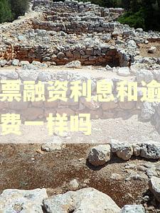 股票融资利息和逾期息费一样吗