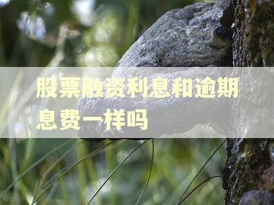 股票融资利息和逾期息费一样吗