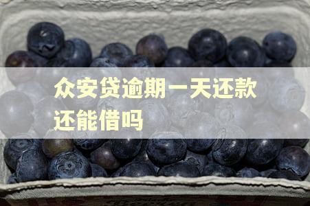 众安贷逾期一天还款还能借吗