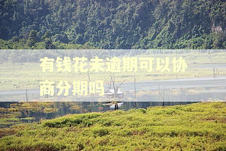 有钱花未逾期可以协商分期吗