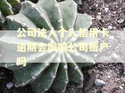 公司法人个人信用卡逾期会影响公司账户吗