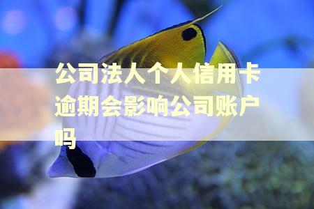 公司法人个人信用卡逾期会影响公司账户吗 公司法人个人信用卡逾期会影响公司账户吗