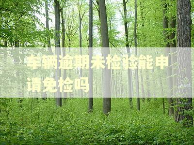 车辆逾期未检验能申请免检吗