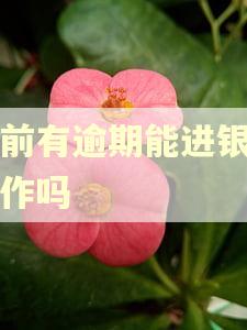 当前有逾期能进银行工作吗