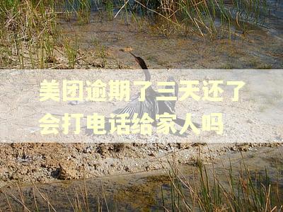 美团逾期了三天还了会打电话给家人吗