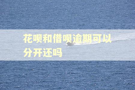 花呗和借呗逾期可以分开还吗 花呗和借呗逾期可以分开还吗