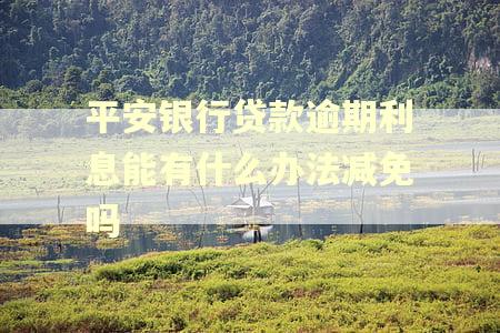 平安银行贷款逾期利息能有什么办法减免吗