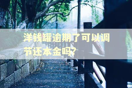 洋钱罐逾期了可以调节还本金吗?