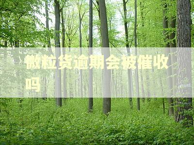 微粒货逾期会被催收吗