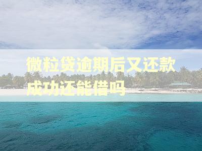 微粒贷逾期后又还款成功还能借吗