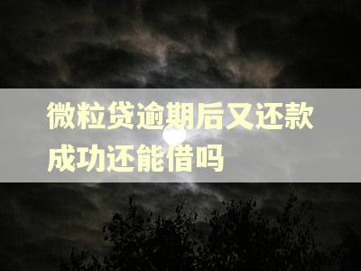 微粒贷逾期后又还款成功还能借吗 微粒贷逾期后又还款成功还能借吗