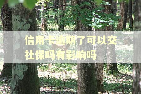 信用卡逾期了可以交社保吗有影响吗