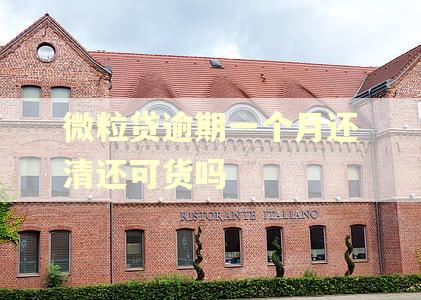 微粒贷逾期一个月还清还可货吗