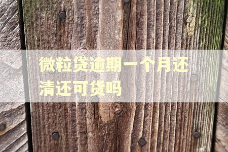 微粒贷逾期一个月还清还可货吗