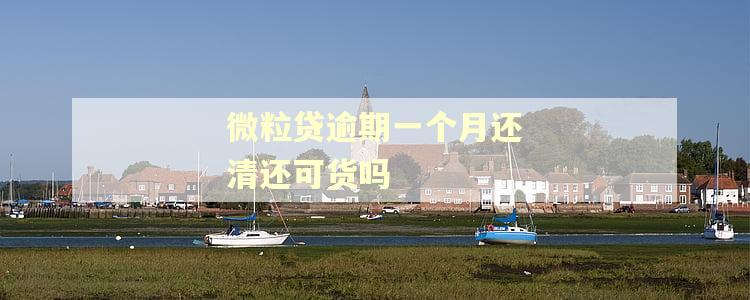 微粒贷逾期一个月还清还可货吗 微粒贷逾期一个月还清还可货吗