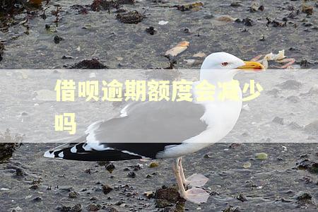 借呗逾期额度会减少吗 借呗逾期额度会减少吗