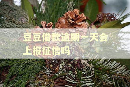 豆豆借款逾期一天会上报征信吗