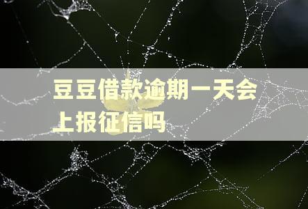 豆豆借款逾期一天会上报征信吗