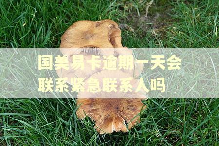 国美易卡逾期一天会联系紧急联系人吗