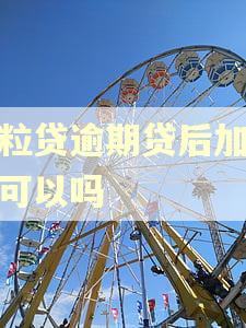 微粒贷逾期贷后加微信可以吗