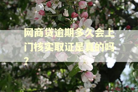 网商贷逾期多久会上门核实取证是真的吗?