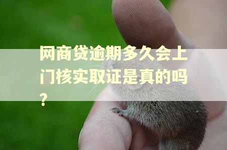 网商贷逾期多久会上门核实取证是真的吗?