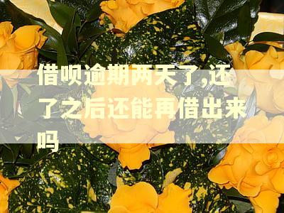 借呗逾期两天了,还了之后还能再借出来吗