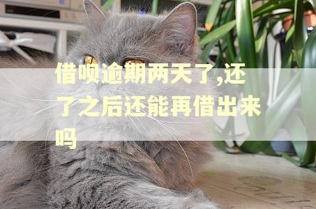 借呗逾期两天了,还了之后还能再借出来吗