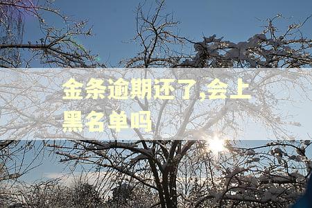 金条逾期还了,会上黑名单吗