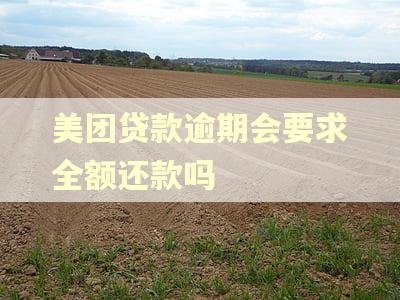 美团贷款逾期会要求全额还款吗