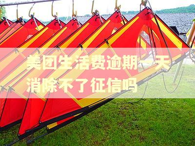 美团生活费逾期一天消除不了征信吗