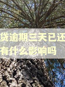 房贷逾期三天已还清会有什么影响吗