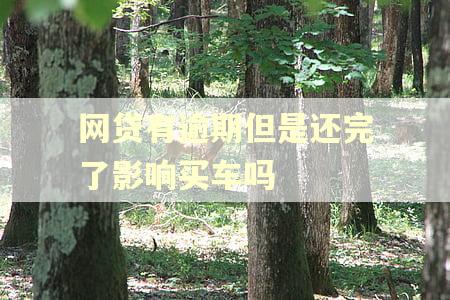 网贷有逾期但是还完了影响买车吗
