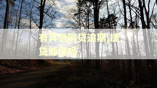 有其他网贷逾期,捷贷能借吗