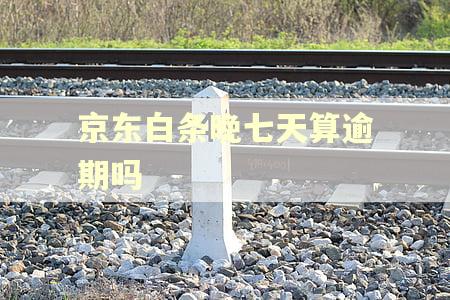 京东白条晚七天算逾期吗