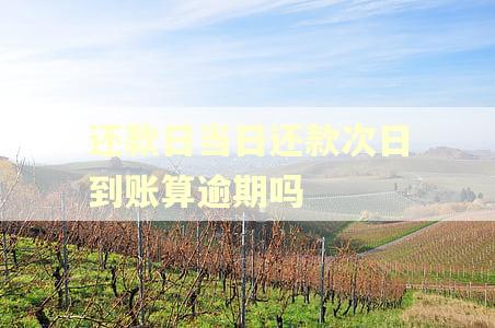 还款日当日还款次日到账算逾期吗