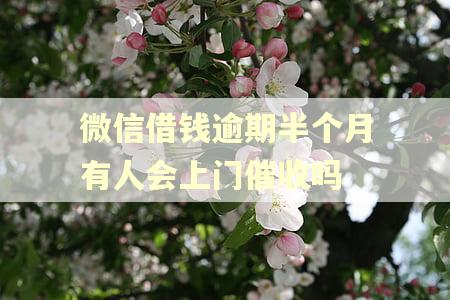 微信借钱逾期半个月有人会上门催收吗