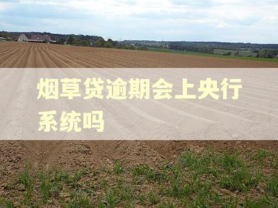 烟草贷逾期会上央行系统吗