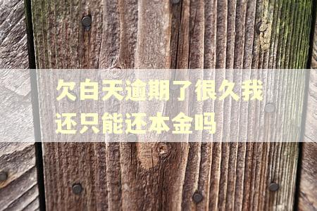 欠白天逾期了很久我还只能还本金吗