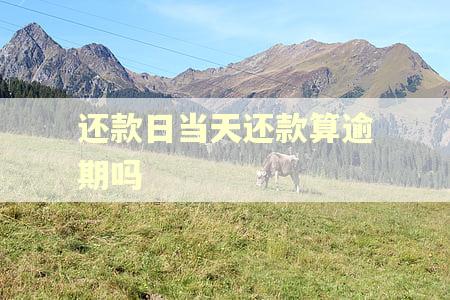 还款日当天还款算逾期吗