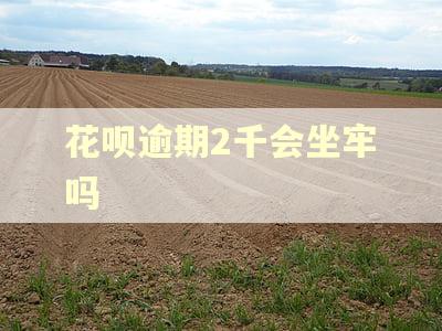 花呗逾期2千会坐牢吗