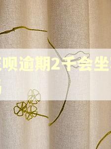 花呗逾期2千会坐牢吗 花呗逾期2千会坐牢吗