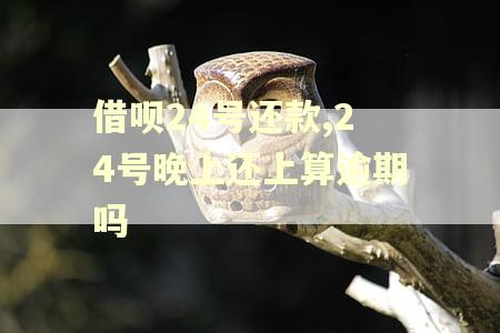 借呗24号还款,24号晚上还上算逾期吗