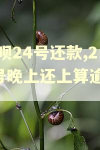 借呗24号还款,24号晚上还上算逾期吗