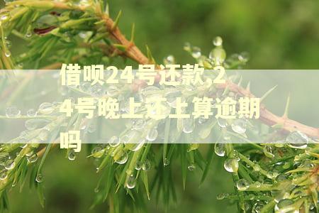 借呗24号还款,24号晚上还上算逾期吗 借呗24号还款,24号晚上还上算逾期吗