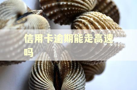 信用卡逾期能走高速吗
