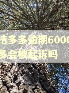 桔多多逾期6000多会被起诉吗 桔多多逾期6000多会被起诉吗
