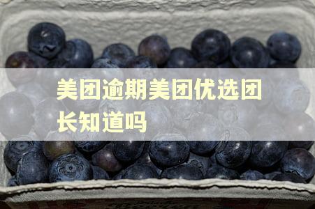 美团逾期美团优选团长知道吗