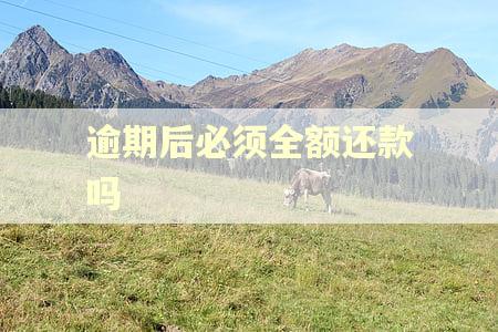 逾期后必须全额还款吗